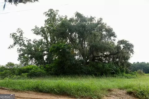 0 Twin Forks Rd #TRACT 1, Statesboro, GA 30458
