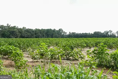0 Twin Forks Rd #TRACT 2, Statesboro, GA 30458