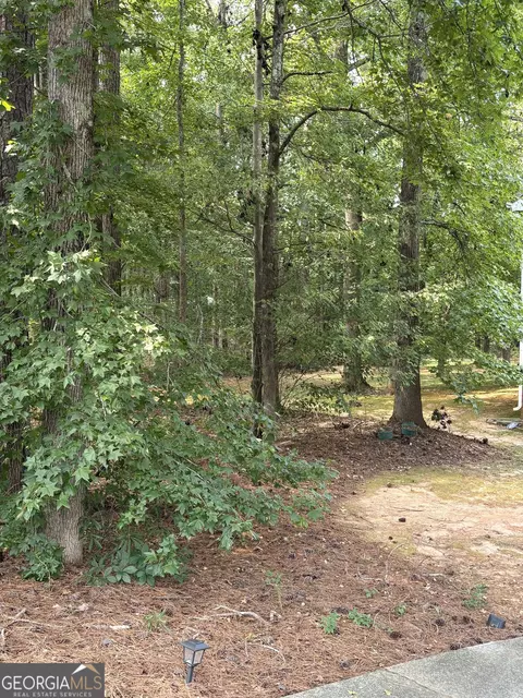 Undisclosed, Covington, GA 30016 photo 3