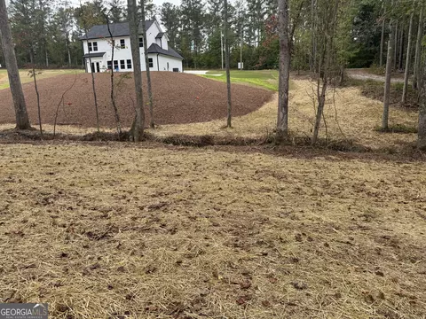 Exterior - 262 Corinth Five Points Rd, Buchanan, GA 30113 photo 8 of 8