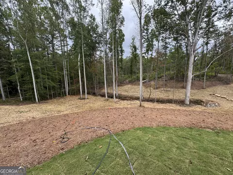 Exterior - 262 Corinth Five Points Rd, Buchanan, GA 30113 photo 6 of 8
