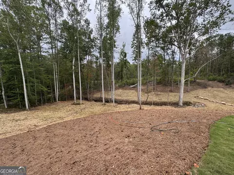 Exterior - 262 Corinth Five Points Rd, Buchanan, GA 30113 photo 5 of 8