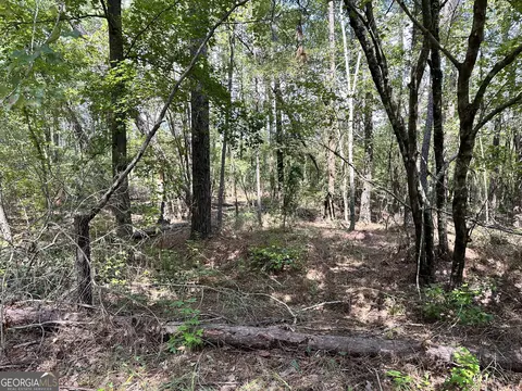 0 Old Carter Rd, Dublin, GA 31021 photo 5
