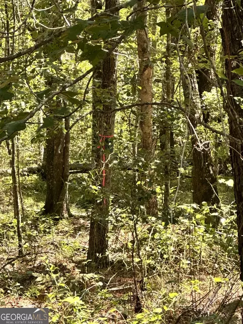 0 Old Carter Rd, Dublin, GA 31021 photo 12