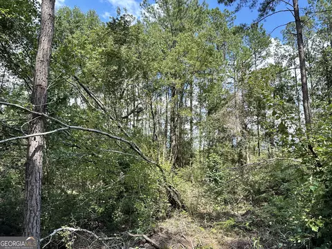 0 Old Carter Rd, Dublin, GA 31021 photo 6