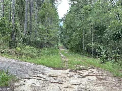 0 Old Carter Rd, Dublin, GA 31021 photo 10