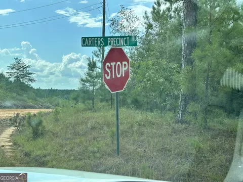 0 Old Carter Rd, Dublin, GA 31021 photo 17