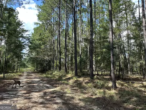 0 Old Carter Rd, Dublin, GA 31021 photo 8