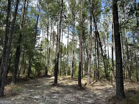 0 Old Carter Rd, Dublin, GA 31021