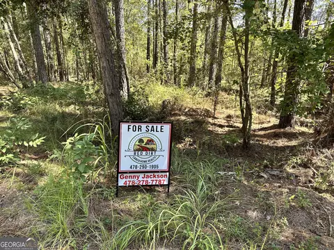 0 Old Carter Rd, Dublin, GA 31021 photo 18