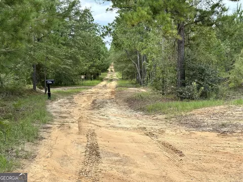 0 Old Carter Rd, Dublin, GA 31021 photo 16