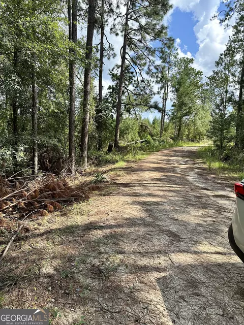 0 Old Carter Rd, Dublin, GA 31021 photo 4