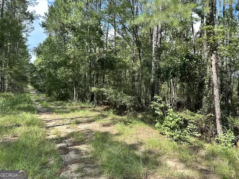0 Old Carter Rd, Dublin, GA 31021 photo 2