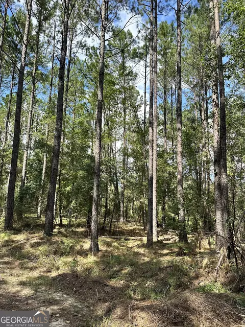 0 Old Carter Rd, Dublin, GA 31021 photo 7