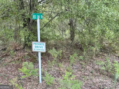 0 Old Carter Rd, Dublin, GA 31021 photo 15