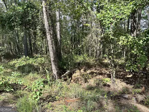 0 Old Carter Rd, Dublin, GA 31021 photo 3