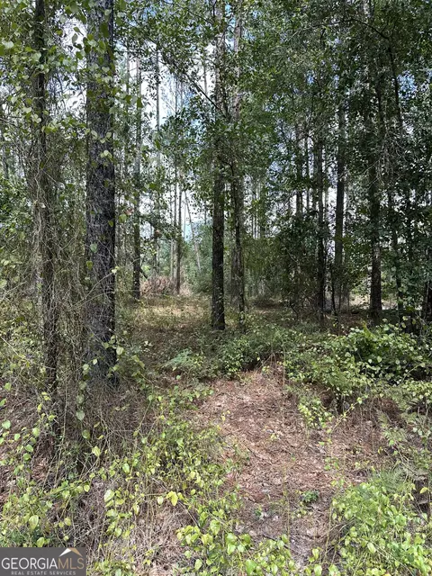 0 Old Carter Rd, Dublin, GA 31021 photo 9