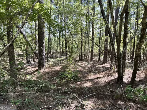 0 Old Carter Rd, Dublin, GA 31021 photo 13