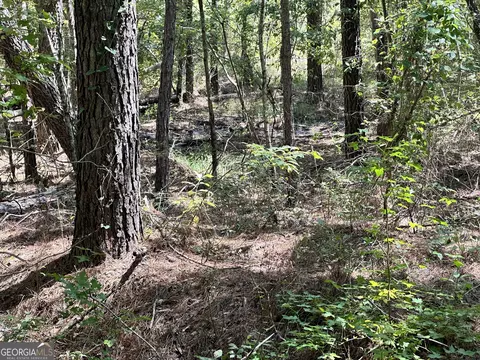 0 Old Carter Rd, Dublin, GA 31021 photo 14