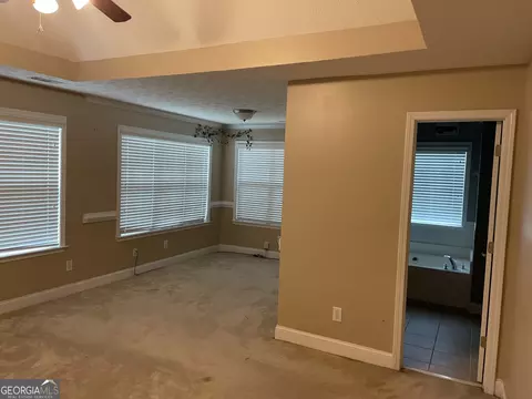 101 Bridgemill Dr, Hampton, GA 30228 photo 12