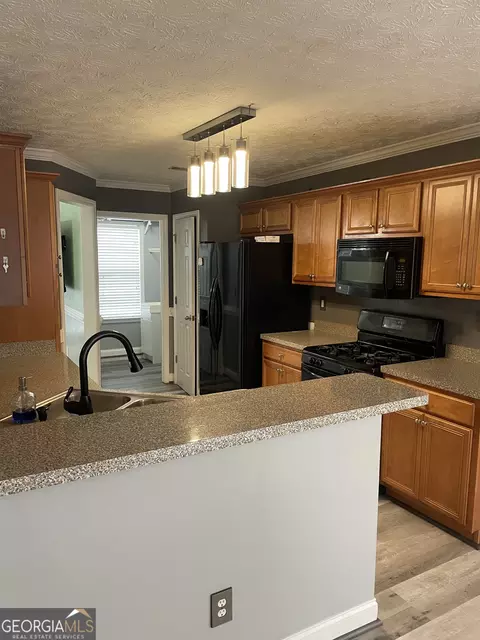 101 Bridgemill Dr, Hampton, GA 30228 photo 8