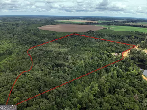 272 Merritt Mill Pond Rd, Shellman, GA 39886