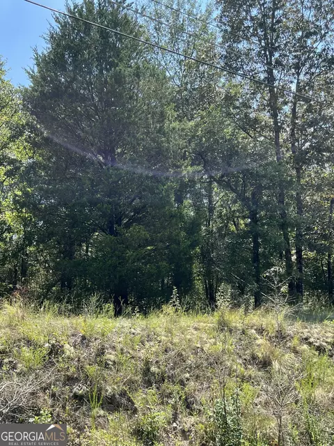 0 Richardson Mill Rd, Fort Valley, GA 31030