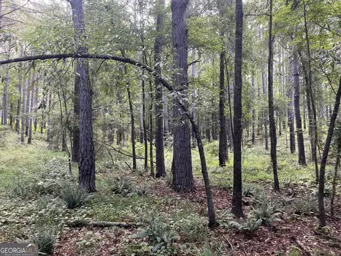 0 Alverson Rd, Mountville, GA 30261 photo 13