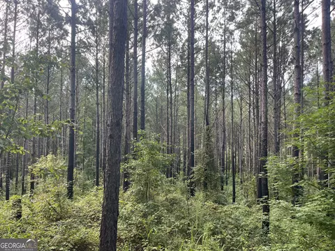 0 Alverson Rd, Mountville, GA 30261 photo 18