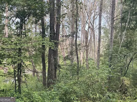 0 Alverson Rd, Mountville, GA 30261 photo 7