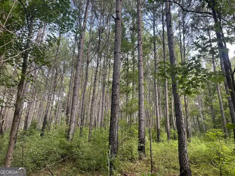 0 Alverson Rd, Mountville, GA 30261 photo 17