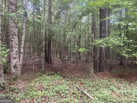 0 Alverson Rd, Mountville, GA 30261 photo 3
