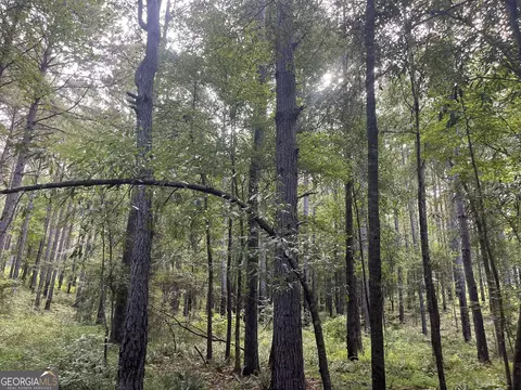 0 Alverson Rd, Mountville, GA 30261 photo 14