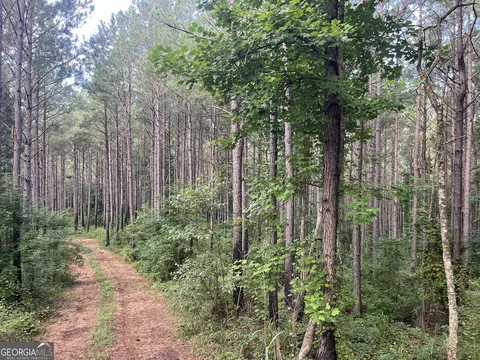0 Alverson Rd, Mountville, GA 30261 photo 19