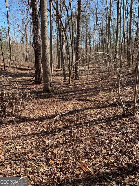 1986 Jones Mountain Rd, Jasper, GA 30143
