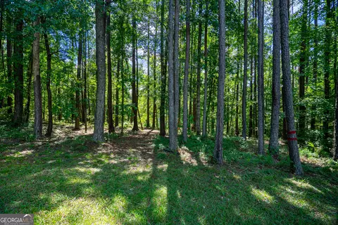 Exterior - 114 Caney Creek Ct, Lagrange, GA 30240 photo 6 of 8
