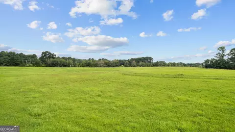 0 Tanners Bridge Rd, Bethlehem, GA 30620 photo 7
