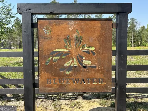 0 Dewey Thomas Rd #LOT 1, Dexter, GA 31019