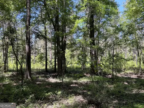 0 Dewey Thomas Rd #LOT 1, Dexter, GA 31019 photo 10