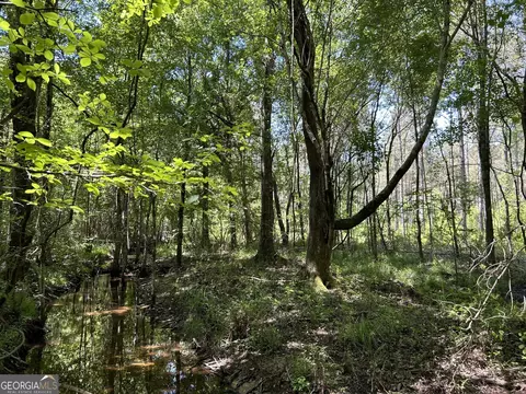 0 Dewey Thomas Rd #LOT 1, Dexter, GA 31019 photo 11