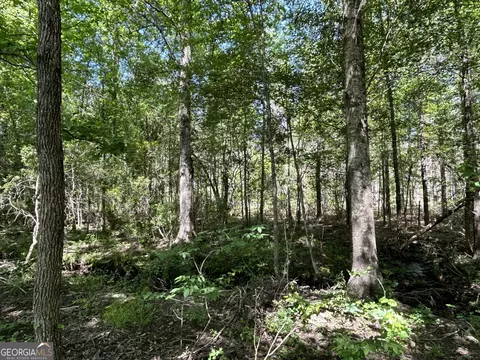 0 Dewey Thomas Rd #LOT 1, Dexter, GA 31019 photo 7