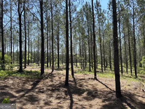 0 Dewey Thomas Rd #LOT 1, Dexter, GA 31019 photo 12