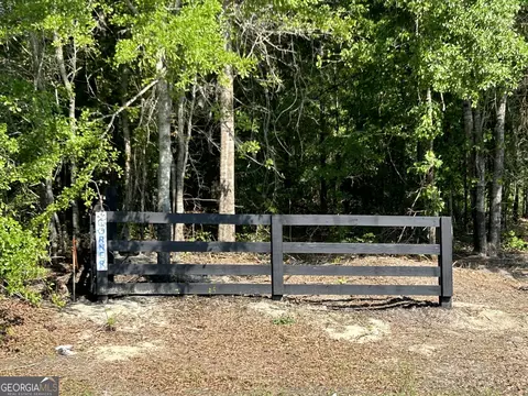 0 Dewey Thomas Rd #LOT 1, Dexter, GA 31019 photo 8