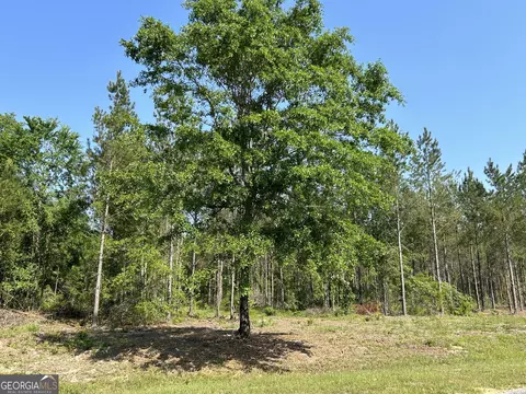0 Dewey Thomas Rd #LOT 1, Dexter, GA 31019 photo 6