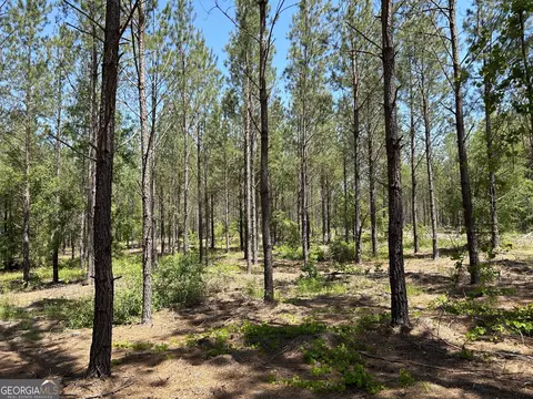 0 Dewey Thomas Rd #LOT 1, Dexter, GA 31019 photo 3