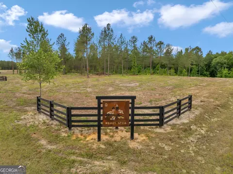 0 Dewey Thomas Rd #LOT 2, Dexter, GA 31019