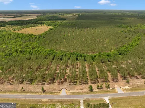 0 Dewey Thomas Rd #LOT 3, Dexter, GA 31019