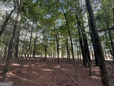 334 Oconee Forest Rd, Stephens, GA 30667 photo 2