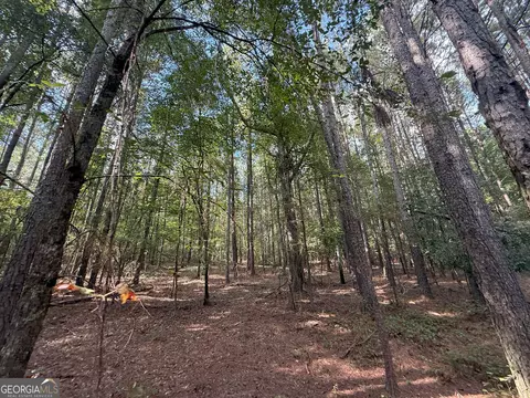 334 Oconee Forest Rd, Stephens, GA 30667 photo 22