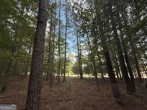 334 Oconee Forest Rd, Stephens, GA 30667 photo 20